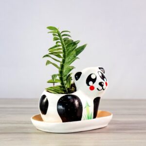 Panda Planter <br /> <span class="happy-info"> – Happy Garden </span>