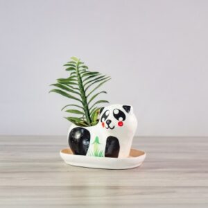 Panda Planter <br /> <span class="happy-info"> – Happy Garden </span>