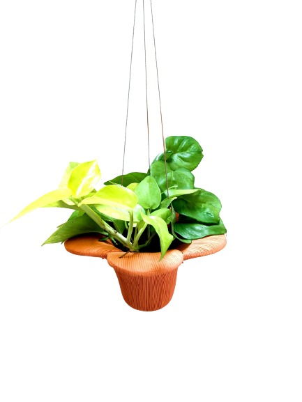 terracotta hanging planters, clay pots