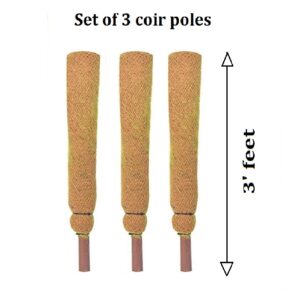 Coir Pole – 3 feet <br /> <span class="happy-info"> – Happy Garden </span>